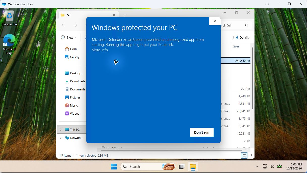 Actual Windows SmartScreen warning with More info highlighted